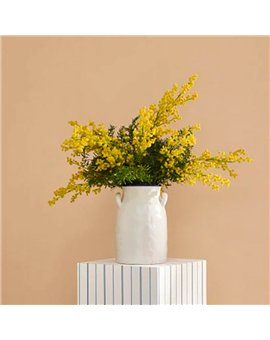 Ref.FAMI-202732432 ambiente con maison de famille liso en Ocre
