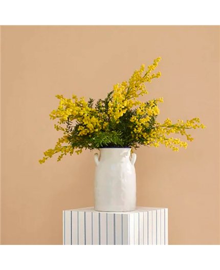 Ref.FAMI-202732432 ambiente con maison de famille liso en Ocre