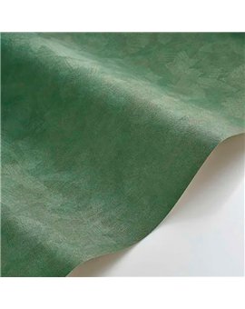 Ref.CANP202667890 ambiente con canopee efecto ante Cobre sobre fondo Verde
