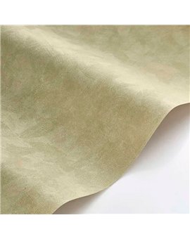 Ref.CANP202667333 ambiente con canopee efecto ante Dorado sobre fondo Verde