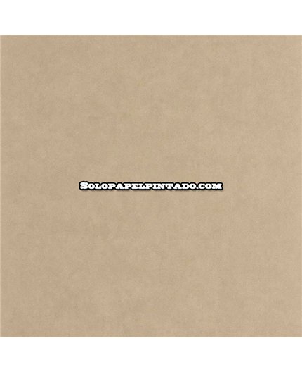 canp202661212-papel-pintado-canopee-casadeco-texturas-moderno-tejido-no-tejido-fregable