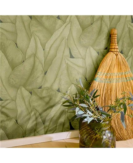 Ref.CANP202647667 foto de ambiente hojas grandes canopee en tono Verde