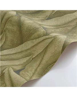 Ref.CANP202647667 estancia decorada con hojas grandes en Verde, canopee