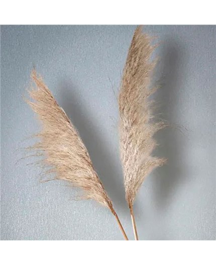Ref.AB2535 ambiente con absolute rayado fino Plateado sobre fondo Gris