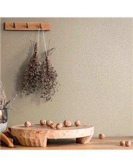 Ref.AB2532 estancia decorada con liso granulado acabado Beige, absolute