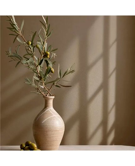 Ref.AB2533 estancia decorada con liso granulado en tono Marrón, absolute
