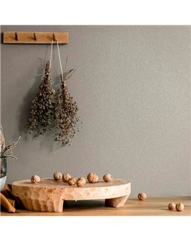 Ref.AB2516 estancia decorada con liso granulado en Topo, absolute